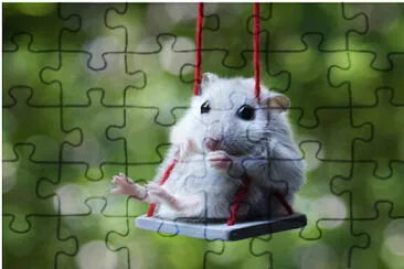 Hamster