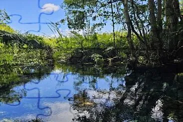 Manantial Guayaney, Manatí, PR