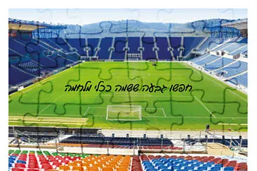 טדי