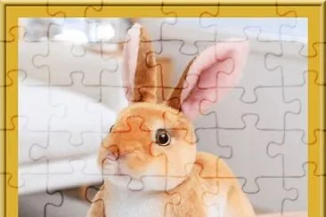 Lapin réaliste