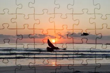 Amanhecer em Ubatuba - Verão 2025