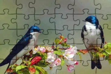 ImÃ¡genes jigsaw puzzle