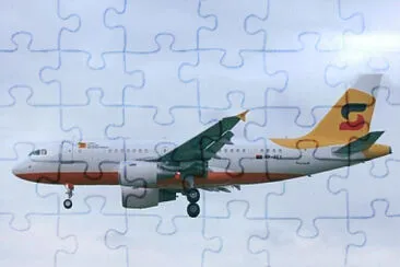  jigsaw puzzle
