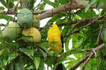 ImÃ¡genes jigsaw puzzle