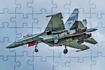  jigsaw puzzle