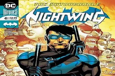 NIGHTWING jigsaw puzzle