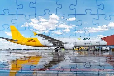 jigsaw puzzle