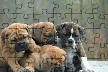 ImÃ¡genes jigsaw puzzle