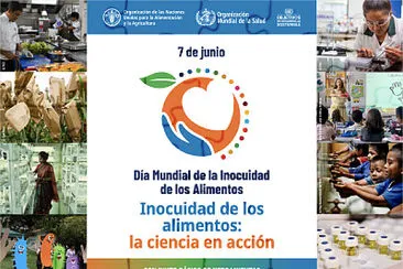 inocuidad jigsaw puzzle