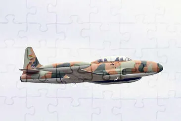  jigsaw puzzle