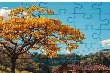 natureza