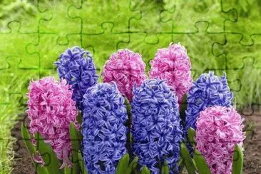 ImÃ¡genes jigsaw puzzle