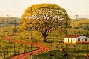 sítio