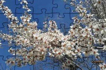 ImÃ¡genes jigsaw puzzle