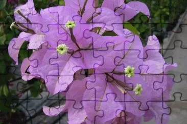 ImÃ¡genes jigsaw puzzle