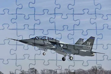  jigsaw puzzle