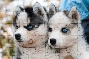 ImÃ¡genes jigsaw puzzle