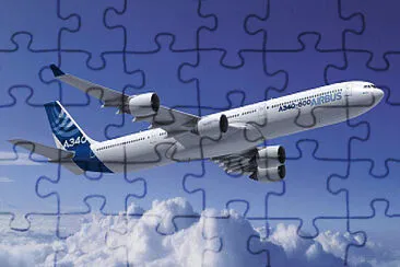  jigsaw puzzle