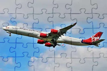  jigsaw puzzle