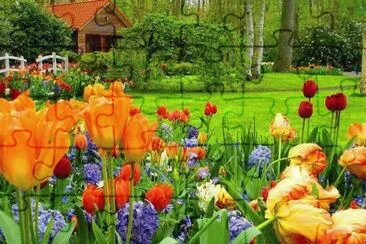 ImÃ¡genes jigsaw puzzle
