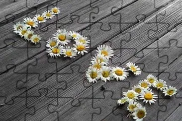 ImÃ¡genes jigsaw puzzle