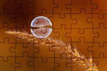 ImÃ¡genes jigsaw puzzle