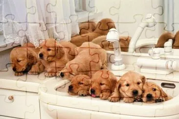 ImÃ¡genes jigsaw puzzle