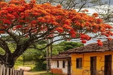 Pó e barro