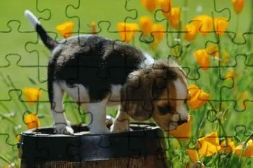 primavera jigsaw puzzle