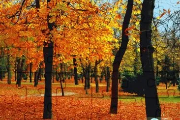 otoÃ±o