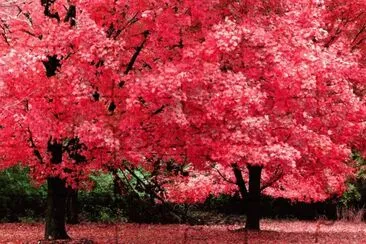 otoÃ±o 2