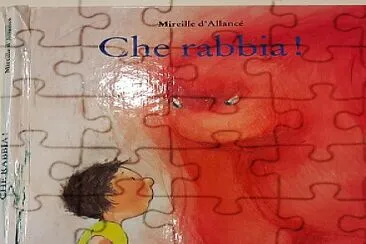 copertina emozioni
