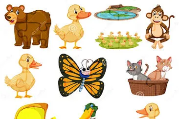 animales jigsaw puzzle