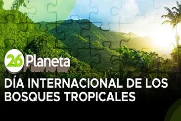 Día Internacional de la Preservación de los Bosques Tropicales