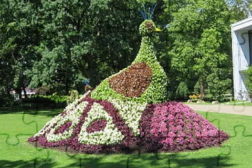 פאזל של Blumen-Pfau