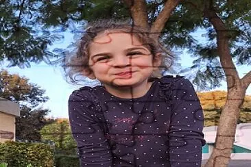 זוהר
