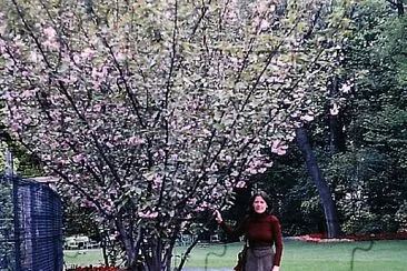 jardim 3