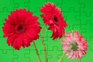image jigsaw puzzle