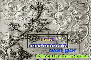mi libro