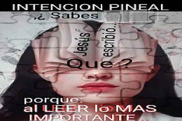 lees pero no entiendes