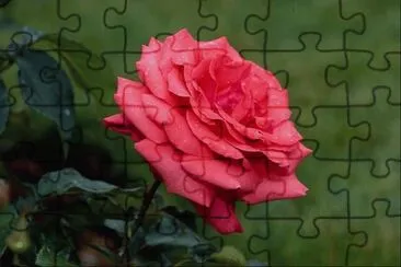 ImÃ¡genes jigsaw puzzle