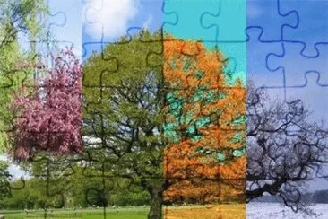 image jigsaw puzzle