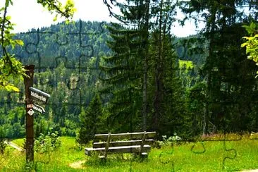 Schwarzwald