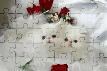 ImÃ¡genes jigsaw puzzle