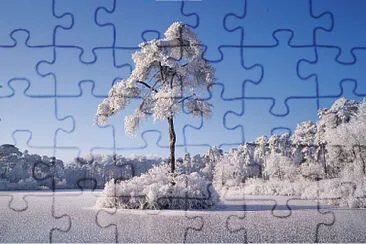 Arbol congelado