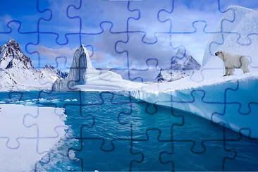 Oso Polar