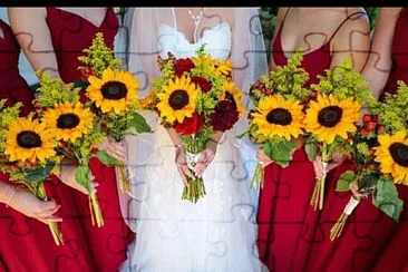 Novias