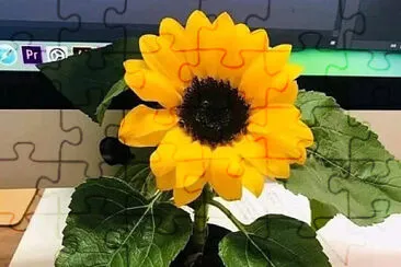 Flor