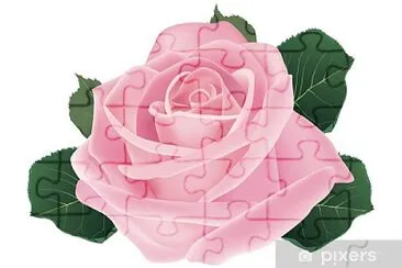 rosa