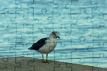 Toy jigsaw puzzle